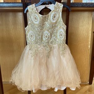 Girls fancy dress. Sparkly, sleeveless top, with cut out back and tulle skirt.